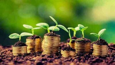 اعطای تسهیلات به ۵۳۵ طرح کشاورزی در سربیشه