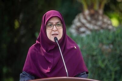 سخنگوی دولت: سرکوب قیمت‌ اینترنت راه‌حل نیست