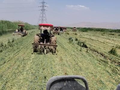 امحاء ۸۶۰ هکتار از مزارع آلوده به فاضلاب خام در شرق شیراز