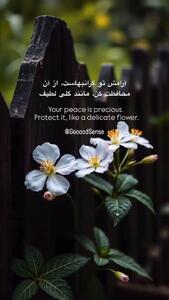 فال و طالع روزانه 23 اردیبهشت + فیلم