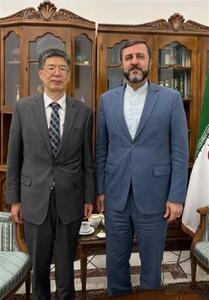 دیدار سفیر چین با غریب آبادی - تسنیم