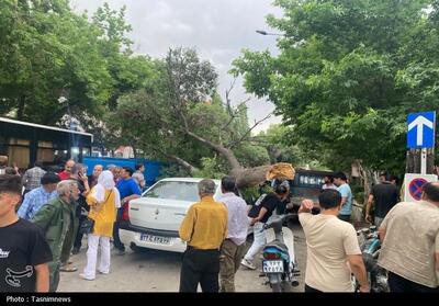 خسارت تندباد 80 کیلومتری در بجنورد+تصاویر - تسنیم
