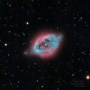 تصویر روز ناسا؛ NGC 1360 یا سحابی تخم رابین، پرنده سینه‌سرخ