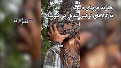 چگونه چوبهای دفرمه به کالاهای لوکس تبدیل می شوند؟ (فیلم)