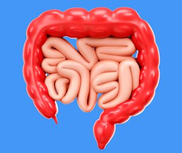 حفظ سلامت روده با ۴ ویتامین‌ مهم و اساسی