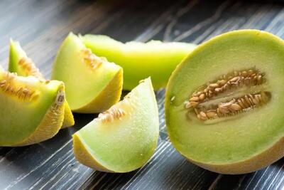 آموزش کاشت و پرورش ملون در گلدان