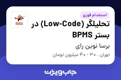 استخدام تحلیلگر (Low-Code) در بستر BPMS در برسا نوین رای