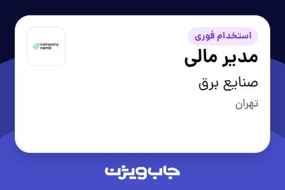 استخدام مدیر مالی در صنایع برق