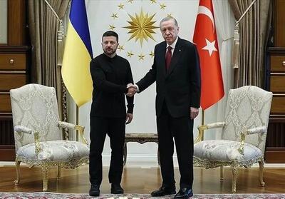 اردوغان و زلنسکی در ترکیه دیدار کردند