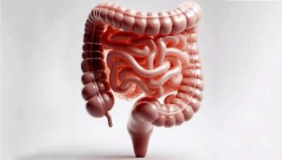یک ترکیب ضدالتهابی قوی برای سلامت روده