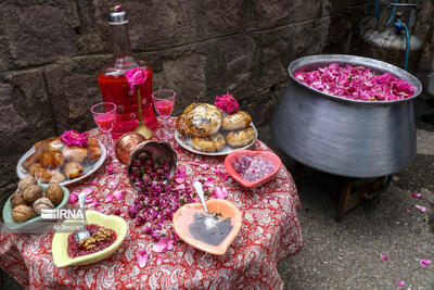 آغاز جشنواره گلاب گیری در البرز