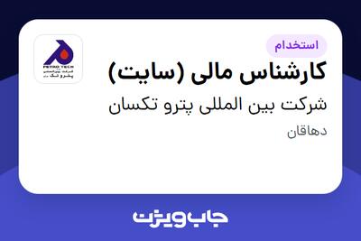 استخدام کارشناس مالی (سایت) در شرکت بین المللی پترو تکسان