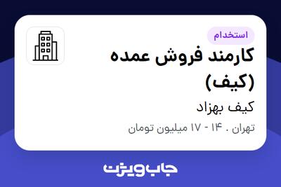 استخدام کارمند فروش عمده (کیف) - آقا در کیف بهزاد