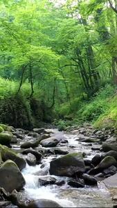 فال ابجد 25 اردیبهشت + فیلم