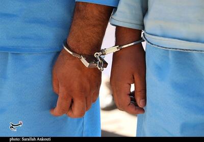 دستگیری سارقان زورگیر طلاجات بانوان سالخورده - تسنیم
