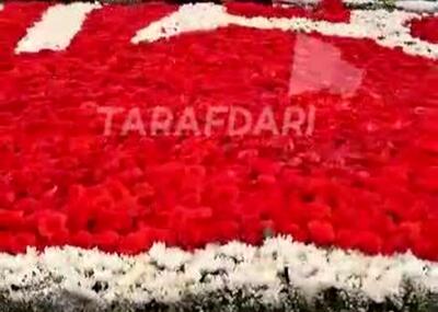 200 هزار شاخه گل برای لوگوی تراکتور!