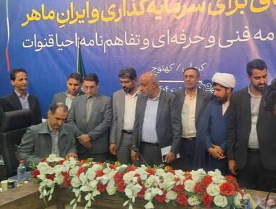 از تاکید بر مهارت آموزی تا ابراز تاسف از تعطیلی کارخانه پیازخشک‌کنی در کهنوج