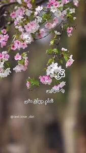 فال و طالع روزانه 26 اردیبهشت + فیلم
