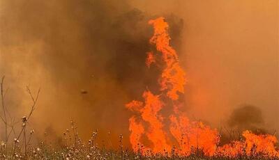 آتش سوزی‌های گسترده سرتاسر فلسطین اشغالی را فرا گرفته است