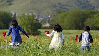 بیش از ۲۱ همت وام ازدواج و فرزندآوری از ابتدای امسال پرداخت شد