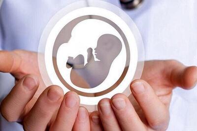 - هشدار ایلان ماسک درباره کاهش نرخ فرزندآوری