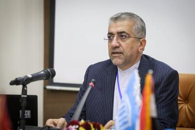 اردکانیان، وزیر پیشین نیرو: نباید از این که در صحنه‌های مختلف از بهترین نیرو‌های کشور استفاده کنیم، واهمه داشته باشیم