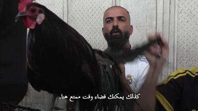 حیوانات و پرندگان عجیب‌ و غریب در بازار بغداد