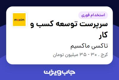 استخدام سرپرست توسعه کسب و کار در تاکسی ماکسیم