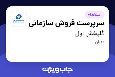 استخدام سرپرست فروش سازمانی - آقا در گلپخش اول