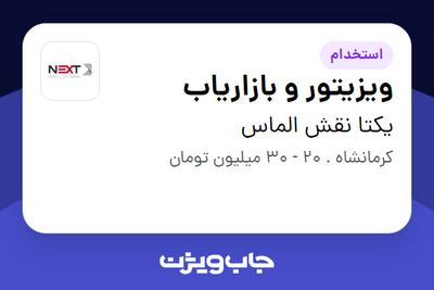 استخدام ویزیتور و بازاریاب در یکتا نقش الماس