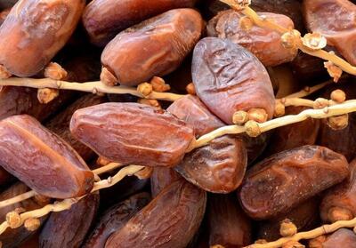 ظرفیت یک میلیارد دلاری صادرات خرما - تسنیم