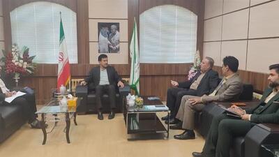 دستگاه های اجرایی تامین ۲۰ درصد برق از پنل های خورشیدی را اجرایی کنند
