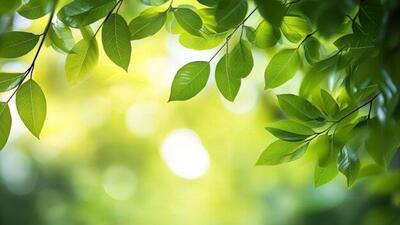 هوای پایدار و آسمانی صاف در اغلب مناطق کشور