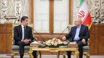 دیدار رئیس اقلیم کردستان عراق با رئیس مجلس