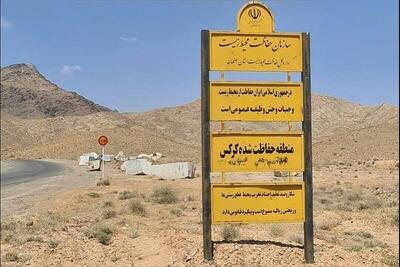 فعالیت معادن در کوه کرکس موجب تعارض بین انسان و حیات وحش شده است