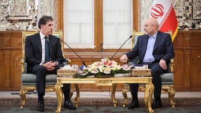 رئیس مجلس: ارتباطات اقتصادی منجر به ثبات امنیتی می‌شود