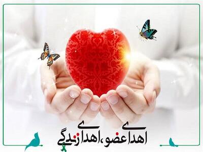 اعضای بدن نیمی از افراد دچار مرگ مغزی استان اردبیل اهدا می‌شود