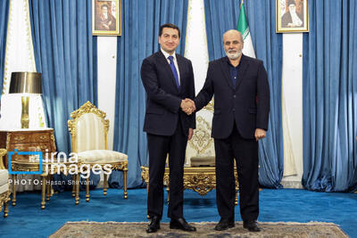 دیدار رئیس دپارتمان سیاست خارجی جمهوری آذربایجان با دبیر شورای عالی امنیت ملی