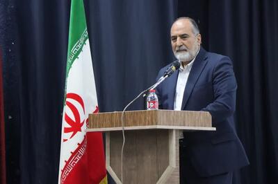 رونق سینمای محلی، گسترش سرمایه فرهنگی 