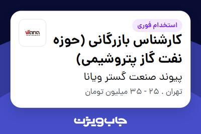 استخدام کارشناس بازرگانی (حوزه نفت گاز پتروشیمی) - خانم در پیوند صنعت گستر ویانا