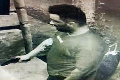 ببینید| سرقت مسلحانه از زن مسافر در شمال تهران | رویداد24
