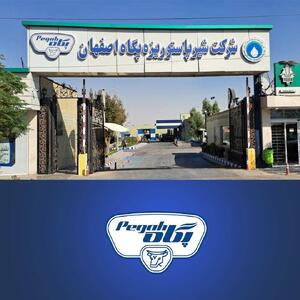 توقف نماد غشصفا به دلیل افشای اطلاعات گروه الف