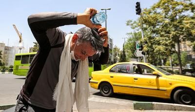 بهار در تهران خداحافظی کرد؛ تابستان زودرس در راه است