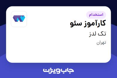 استخدام کارآموز سئو در تک لدز