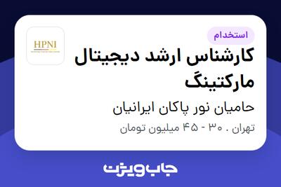 استخدام کارشناس ارشد دیجیتال مارکتینگ در حامیان نور پاکان ایرانیان