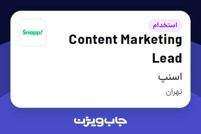 استخدام Content Marketing Lead در اسنپ