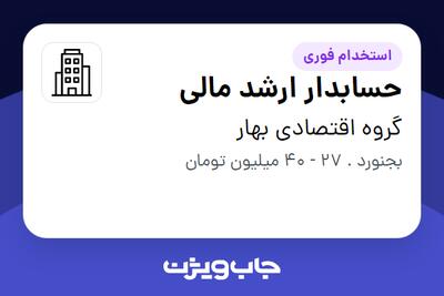 استخدام حسابدار ارشد مالی در گروه اقتصادی بهار