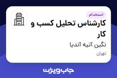 استخدام کارشناس تحلیل کسب و کار در نگین آتیه آندیا