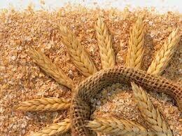 قیمت جدید سبوس مصوب شد