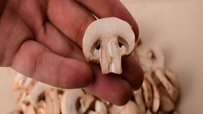 این گیاه را بخورید ویتامین D بدنتان تامین می‌شود